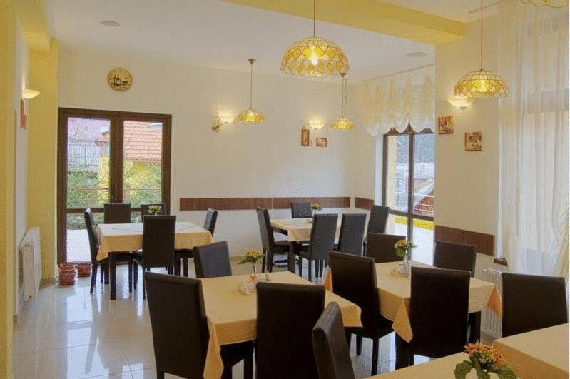 Flora Alpina Ξενοδοχείο Azuga Εξωτερικό φωτογραφία