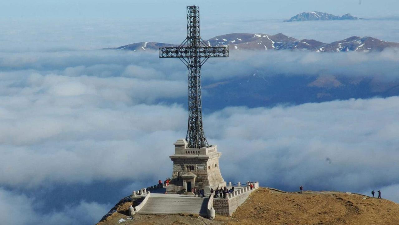 Flora Alpina Ξενοδοχείο Azuga Εξωτερικό φωτογραφία