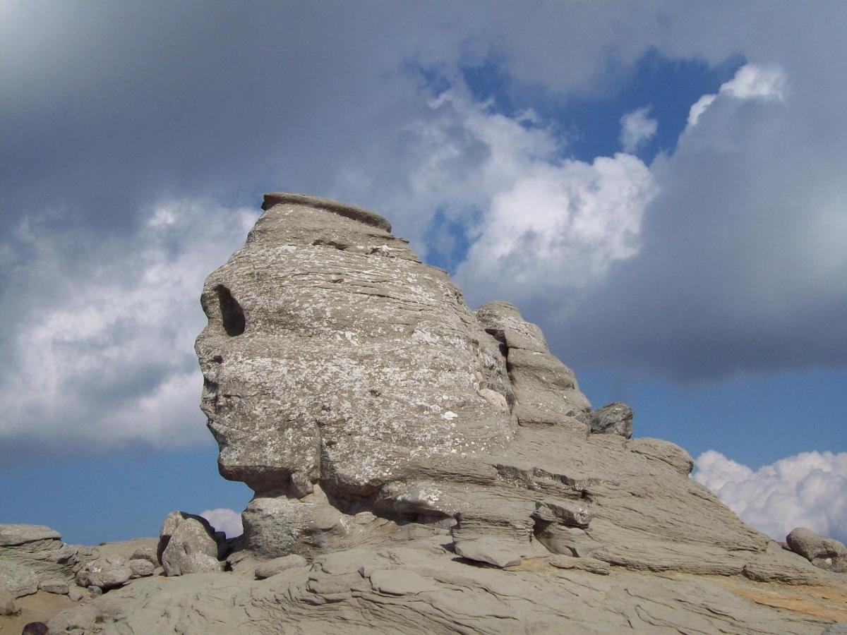 Flora Alpina Ξενοδοχείο Azuga Εξωτερικό φωτογραφία